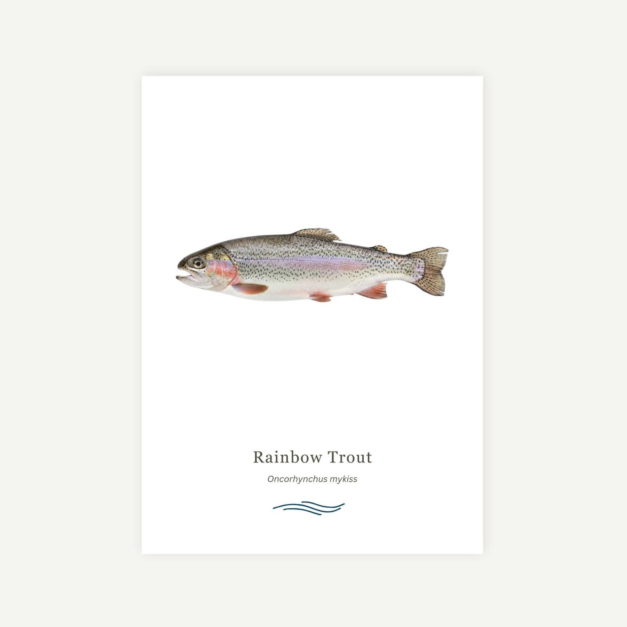 Freshwater Fish Greeting Cards