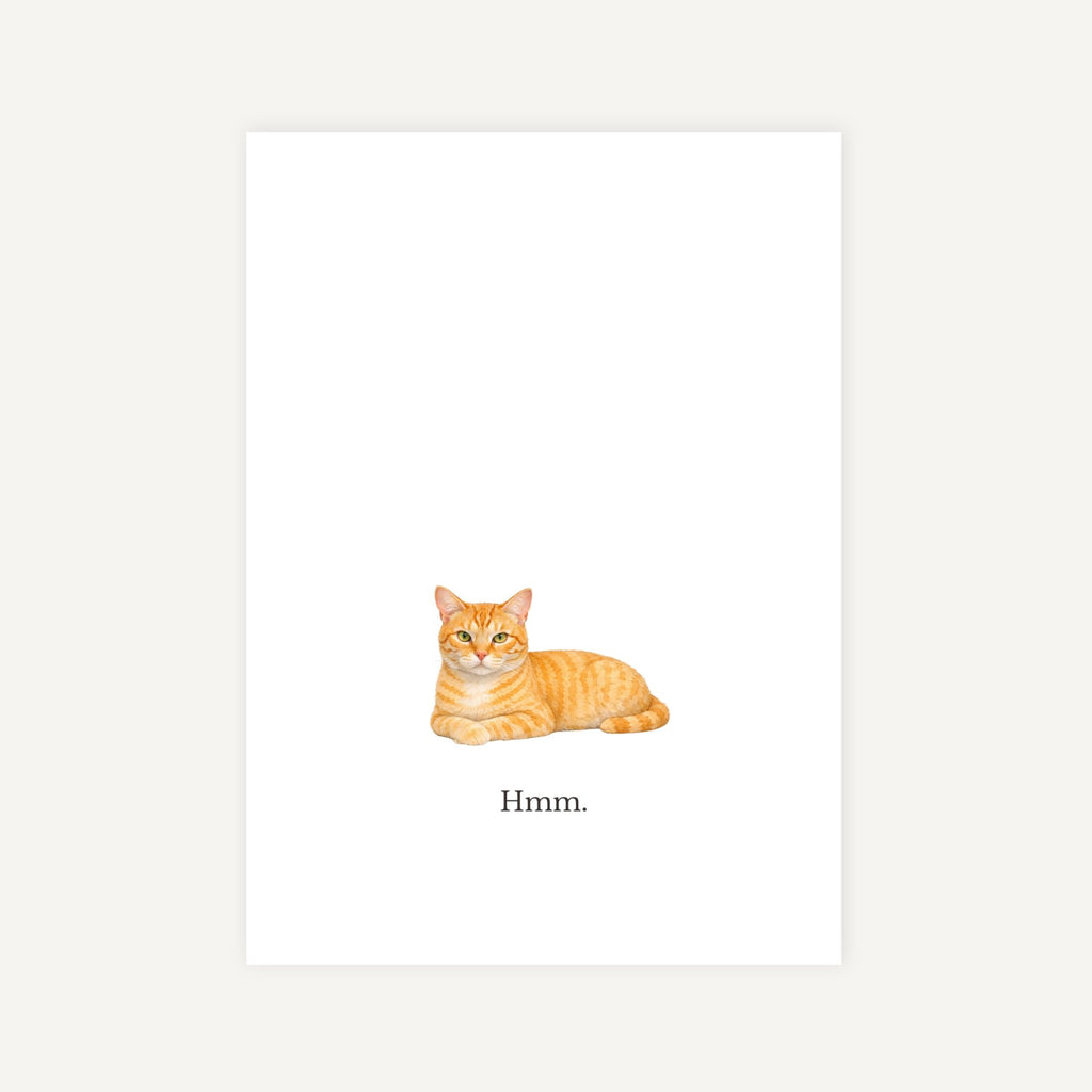 Illustration of a cat with the text 'Hmm.' on a white background.