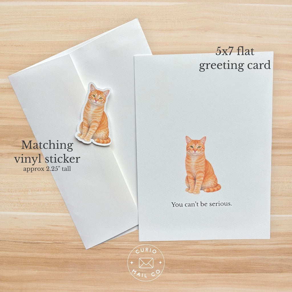 5x7 flat greeting card with matching vinyl sticker featuring an orange cat on a wooden surface.