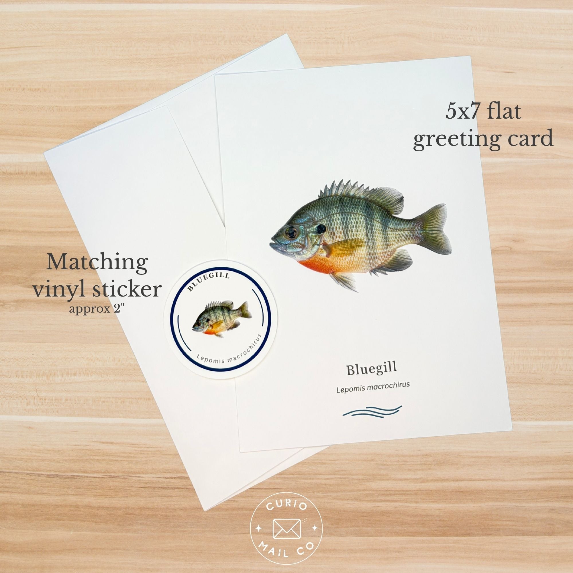 5x7 flat greeting card with bluegill fish illustration on a wooden surface, featuring matching vinyl sticker.