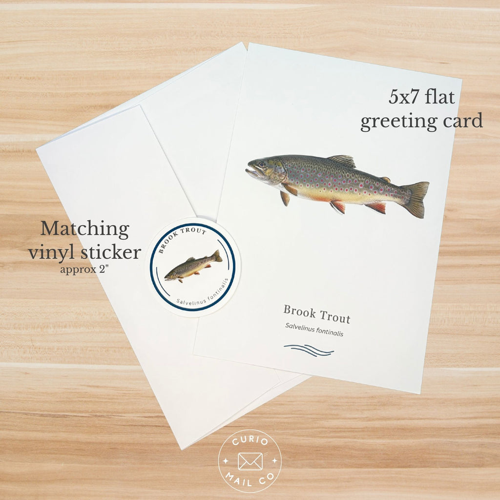 5x7 flat greeting card with brook trout illustration on a wooden surface, featuring matching vinyl sticker.