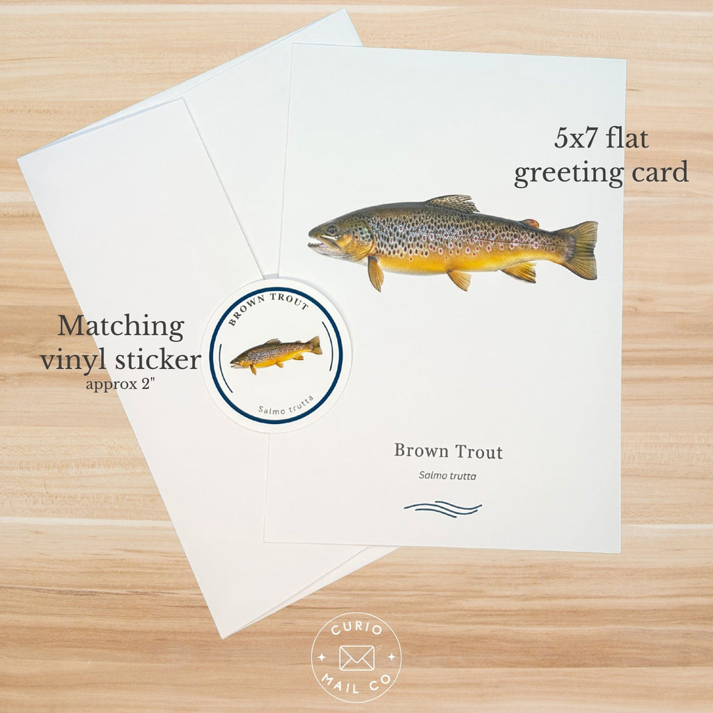 Greeting card with brown trout illustration and matching vinyl sticker on a wooden surface