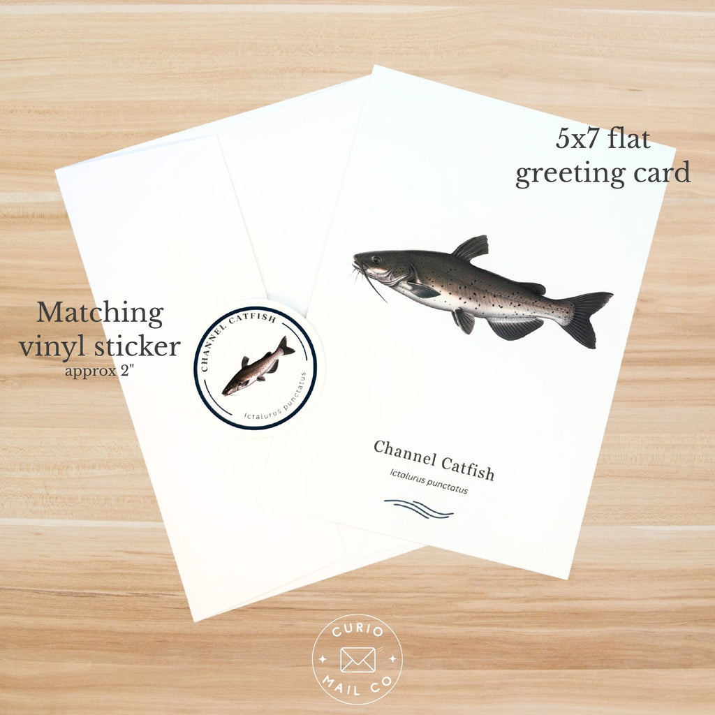 Greeting card with channel catfish illustration and matching vinyl sticker on a wooden surface