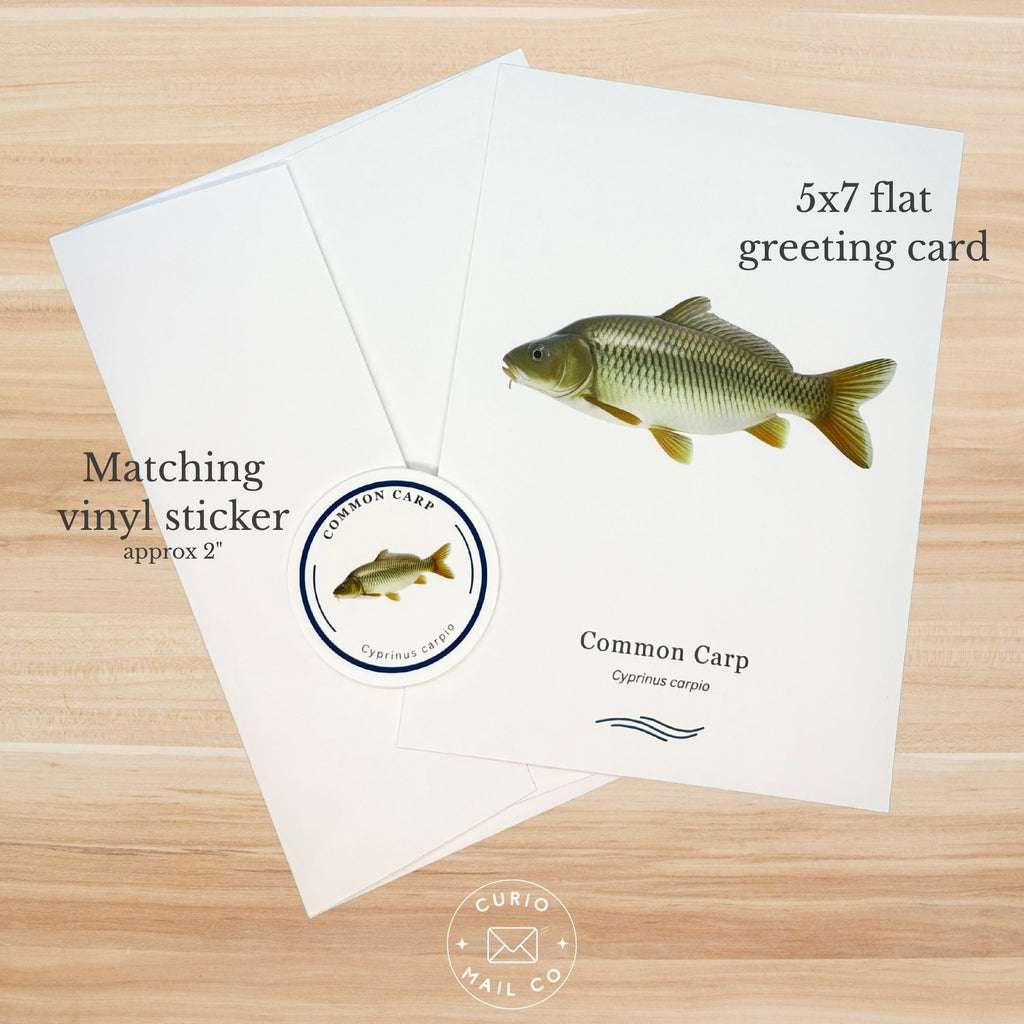 Greeting card with a fish illustration and matching vinyl sticker on a wooden surface, featuring Curio Mail Co branding.