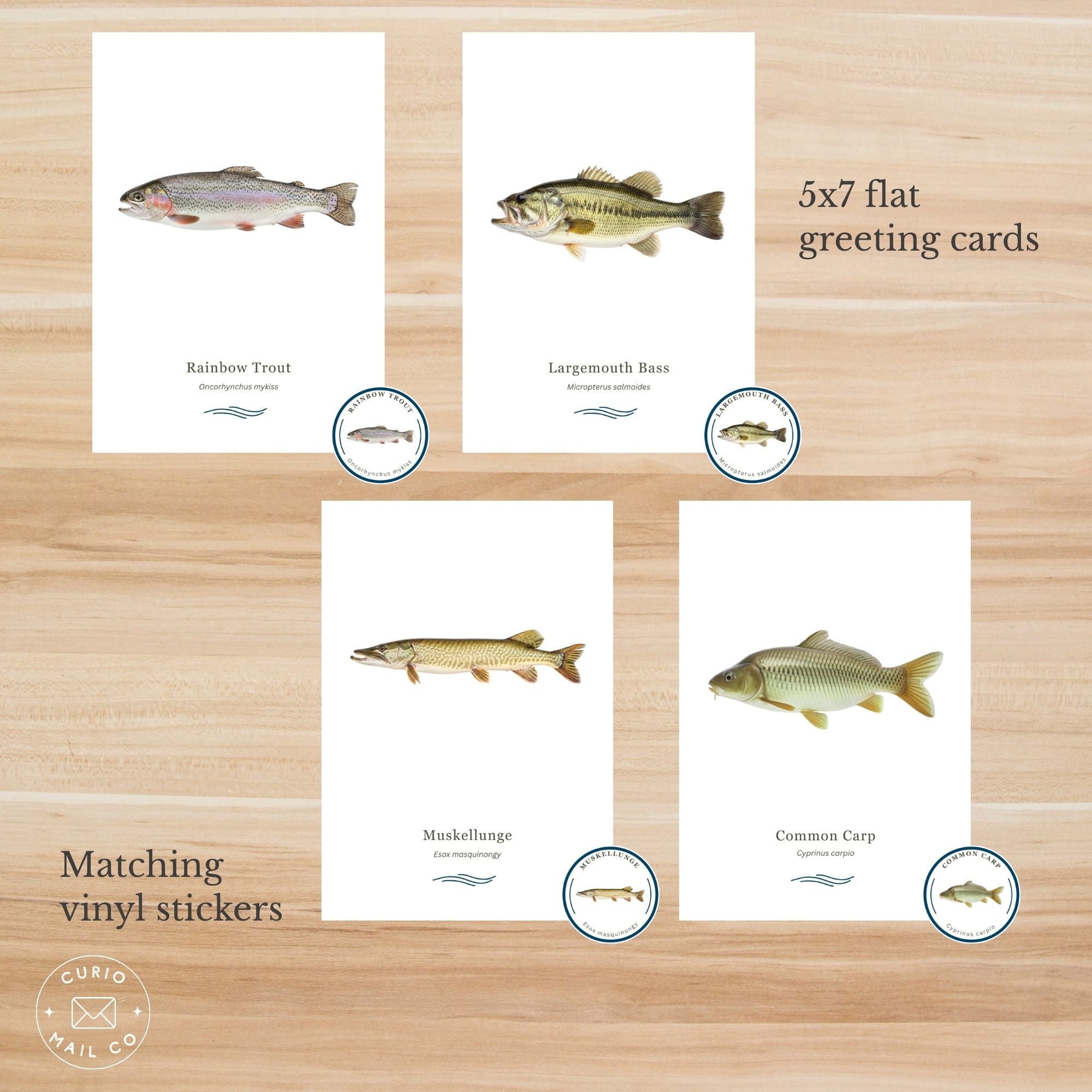 Set of 5x7 flat greeting cards with fish illustrations on a wooden surface, featuring matching vinyl stickers.