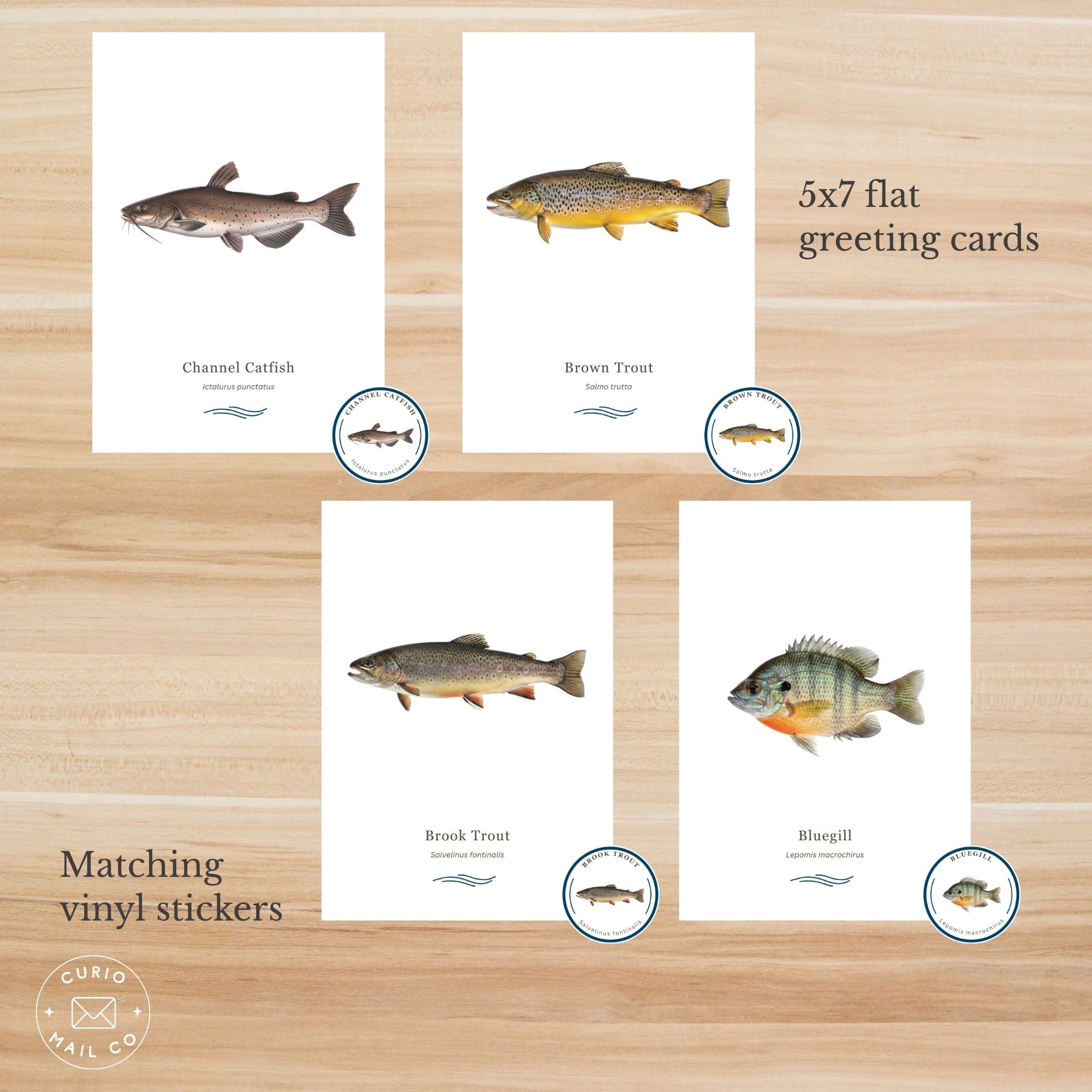 Set of 5x7 flat greeting cards with fish illustrations on a wooden surface, featuring matching vinyl stickers.