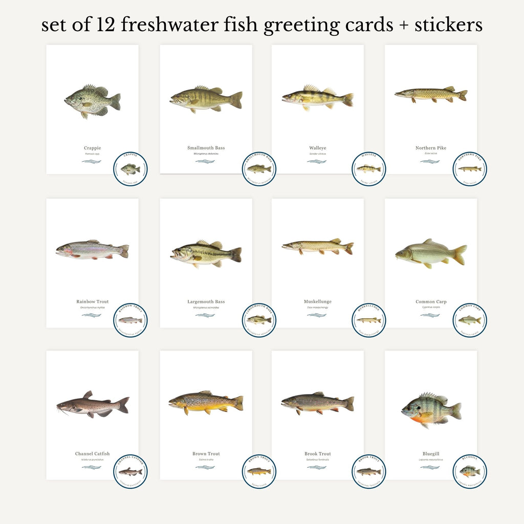 Set of 12 freshwater fish greeting cards and stickers on a white background