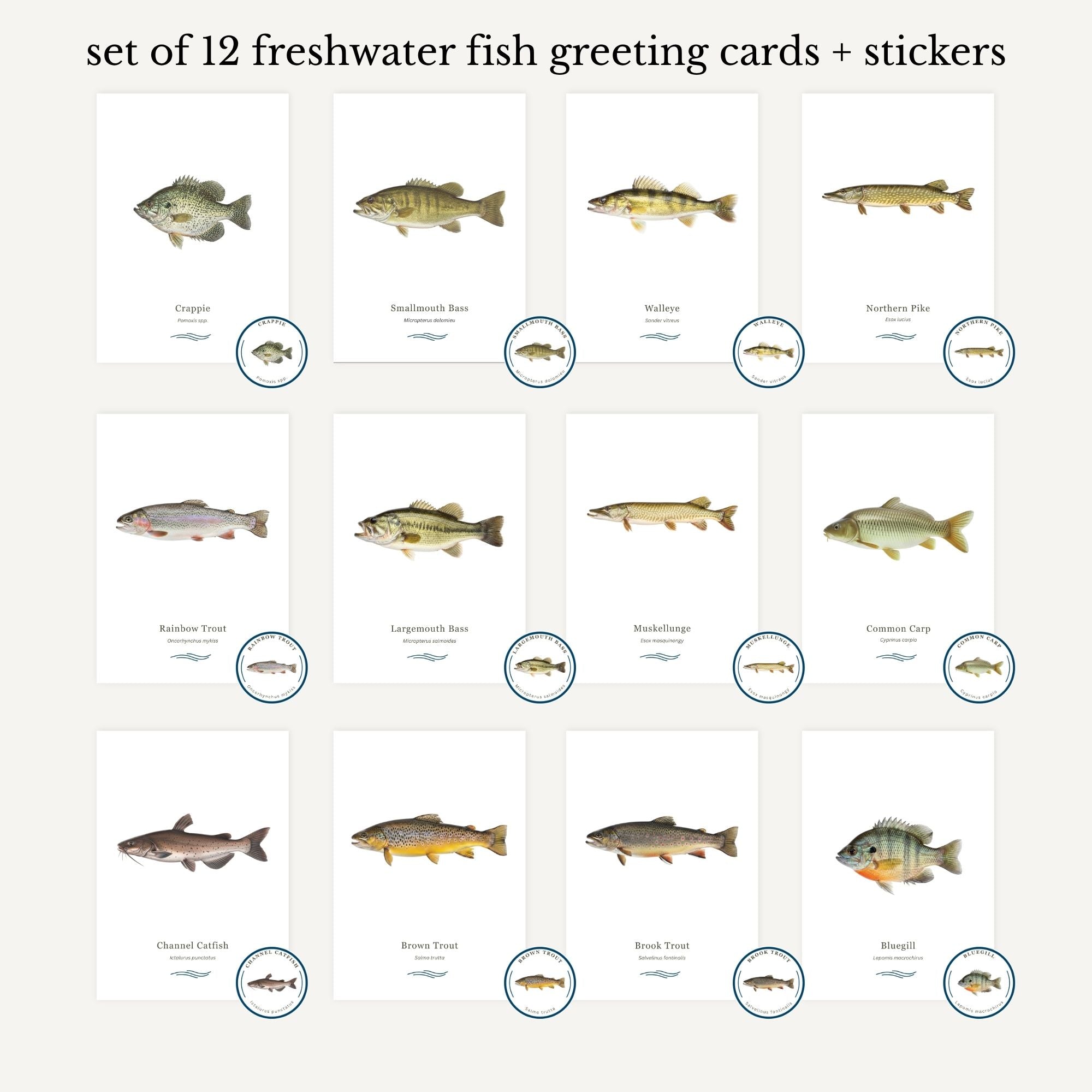 Set of 12 freshwater fish greeting cards and stickers on a white background