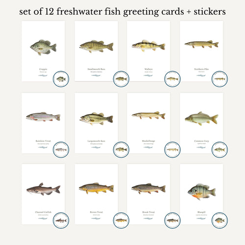 Set of 12 freshwater fish greeting cards and stickers on a white background