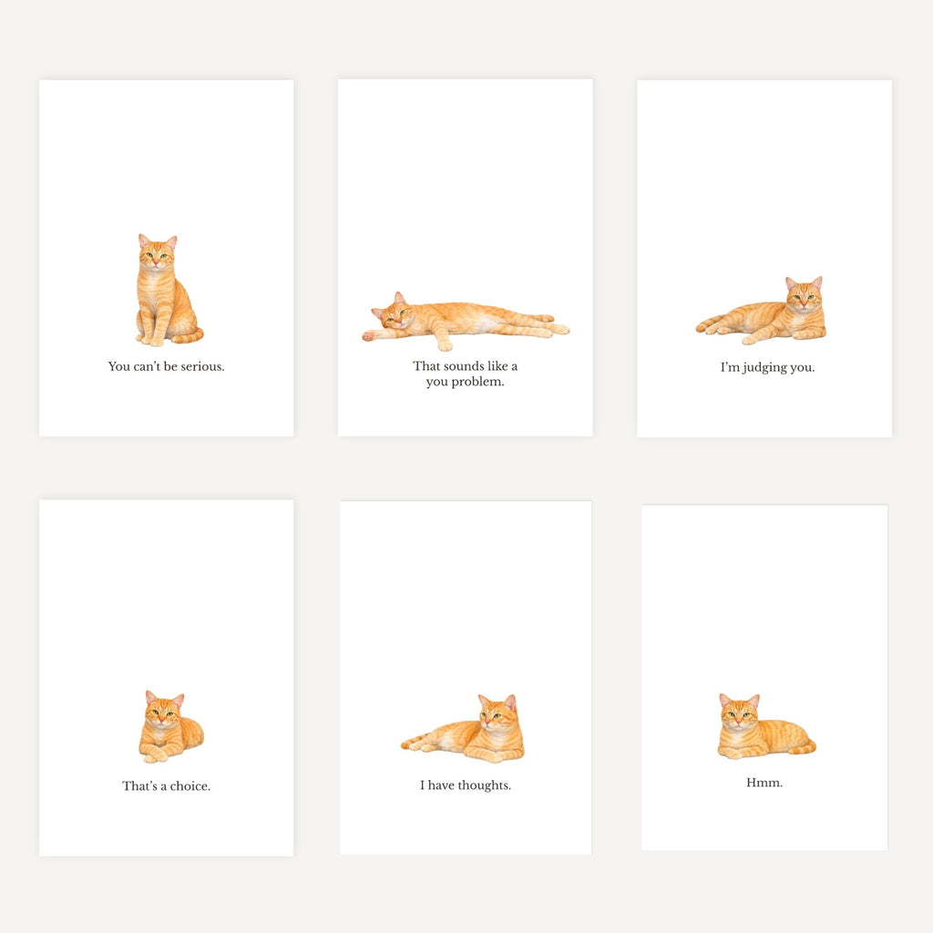 Set of cards with illustrated cats and humorous text on a white background