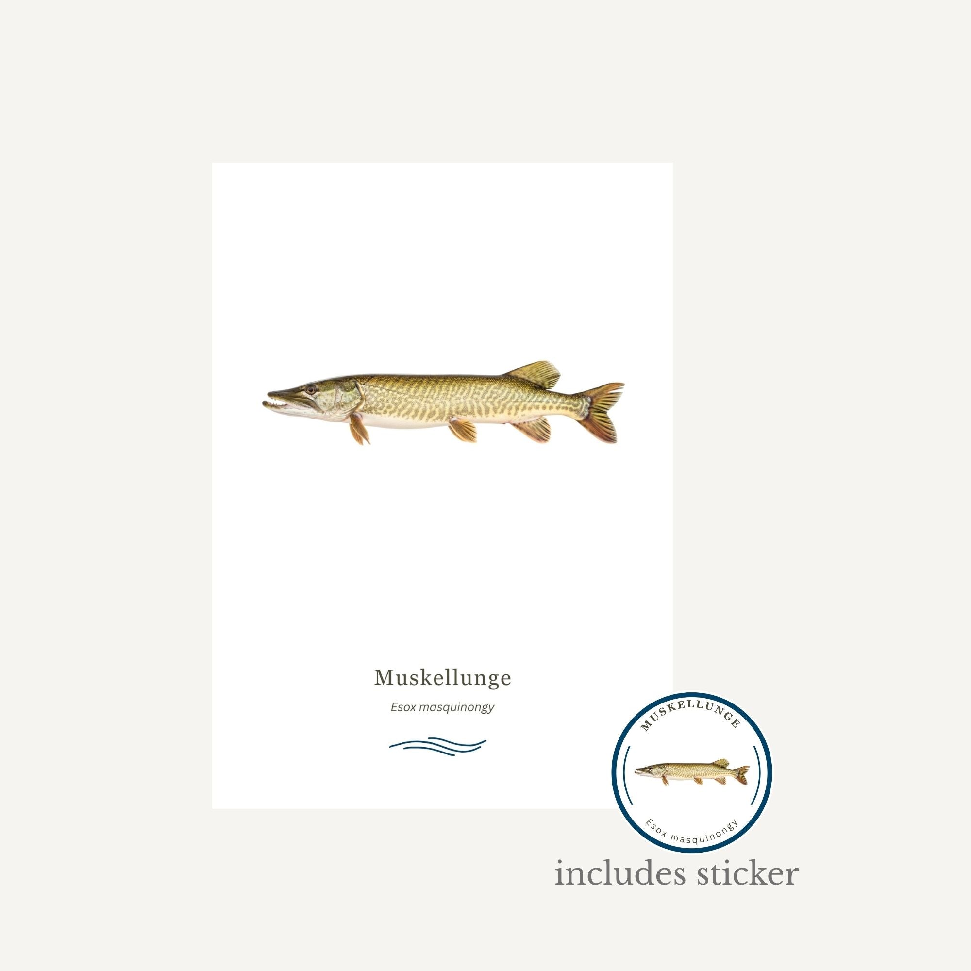 Illustration of a muskellunge fish with text and a logo on a white background