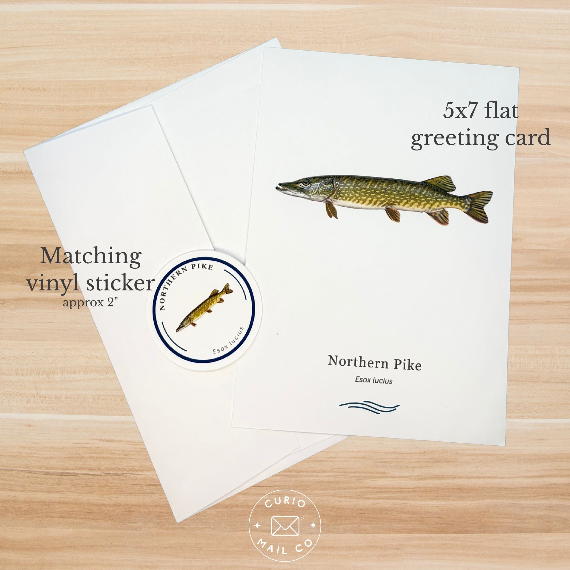 5x7 flat greeting card with northern pike illustration and matching vinyl sticker on a wooden surface.