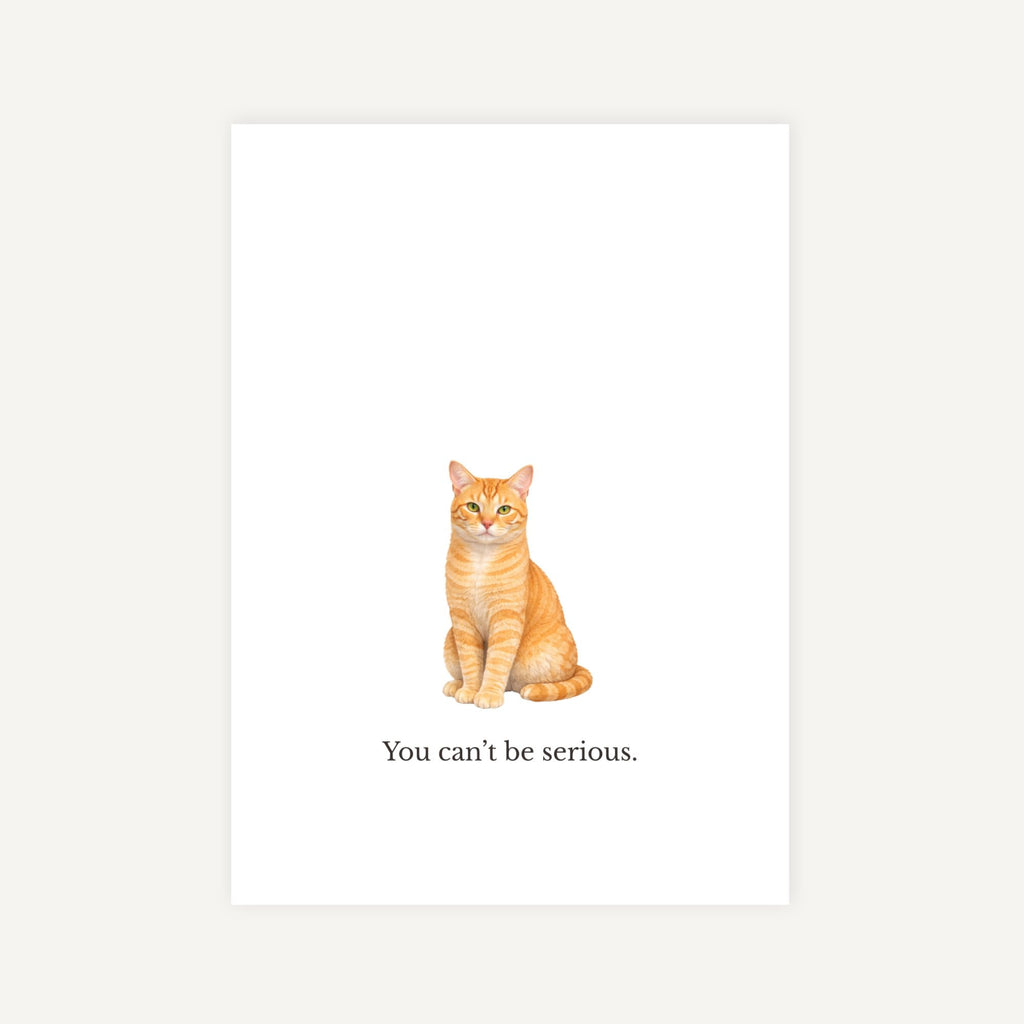 Cat illustration with text 'You can't be serious' on a white background