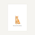 Cat illustration with text 'You can't be serious' on a white background